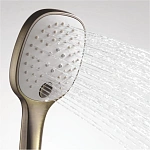 Душевая лейка WasserKRAFT A050