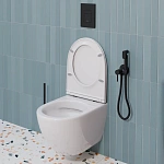 Инсталляция Grohe Solido с подвесным унитазом Santerika SAN.UN.04, безободковый с сиденьем микролифт