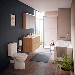 Унитаз-компакт Norm Eisberg 9844B099-7201 с микролифтом