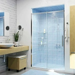 Душевая дверь WasserKRAFT Dinkel 120х200 см 58R05