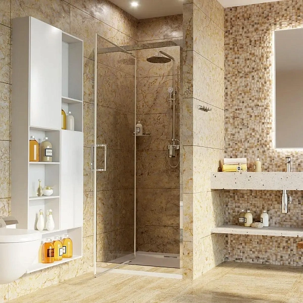 Душевая дверь WasserKRAFT Salm 100х200 см 27I12