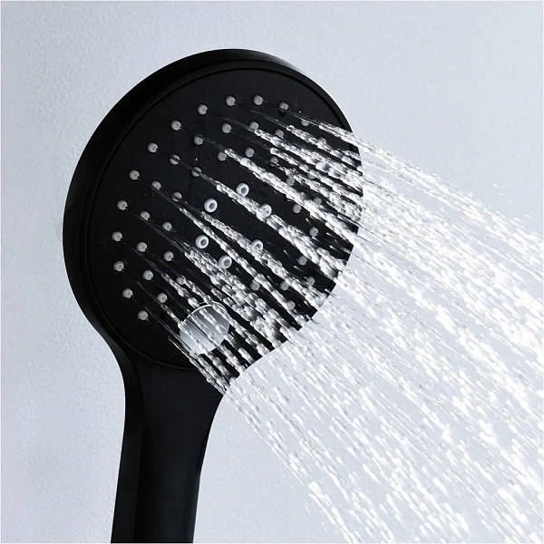 Душевая лейка WasserKRAFT A078