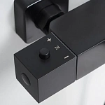 Душевая система с термостатом WasserKRAFT Thermo A29901