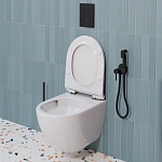 Инсталляция Grohe Solido с подвесным унитазом Santerika SAN.UNT.01, смыв "Торнадо", сиденье микролифт