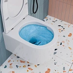 Инсталляция Grohe Rapid SL 38772001 с подвесным унитазом OLIVE'S VR30116DP, смыв "Торнадо", сиденье микролифт