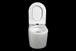 Инсталляция Grohe Rapid SL 38772001 с подвесным унитазом OLIVE'S VR30116DP, смыв "Торнадо", сиденье микролифт