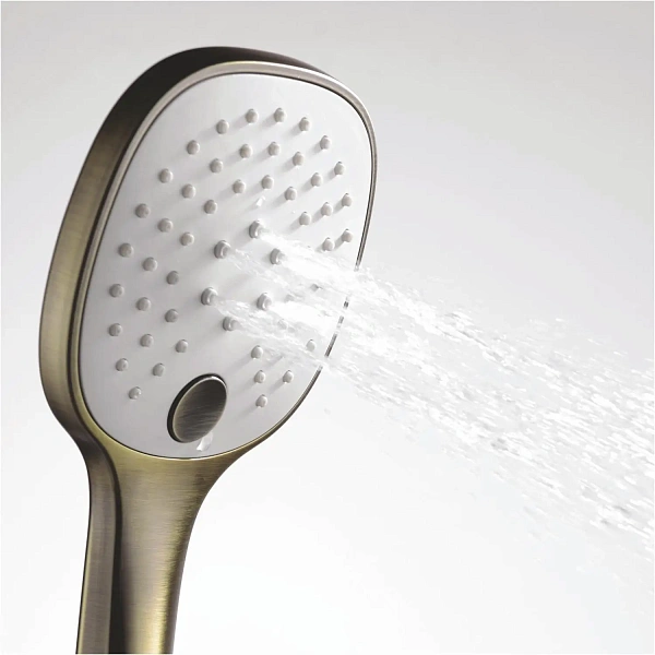 Душевая лейка WasserKRAFT A050
