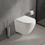 Унитаз подвесной Olive'S Plaza PL30116DP безободковый