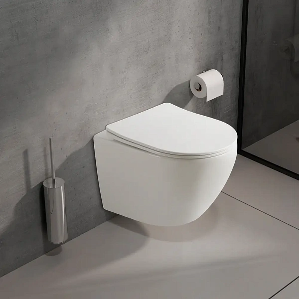 Унитаз подвесной Olive'S Plaza PL30116DP безободковый
