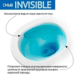 Инсталляция Grohe, кнопка вороненная сталь с подвесным унитазом OLIVE'S VORTEX DUO VD30116DP с технологией смыва "Двойной Торнадо", сиденье микролифт