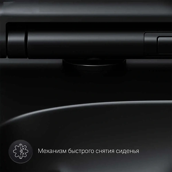 Унитаз подвесной AM.PM X-Joy S FlashClean C85A1700MBSC безободковый