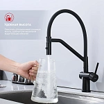Смеситель для кухни Raglo R86.41.06, черный