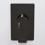 Встраиваемый смеситель для душа WasserKRAFT Glan 6651