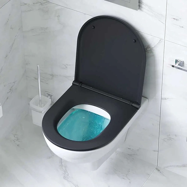 Унитаз подвесной AM.PM Gem FlashClean C901700SCmb безободковый