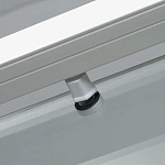 Душевая дверь WasserKRAFT Rhin 110х200 см 44S13