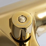 Смеситель для ванны WasserKRAFT Sauer 7101 с душем