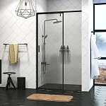 Душевая дверь WasserKRAFT Elbe 100х200 см 74P05
