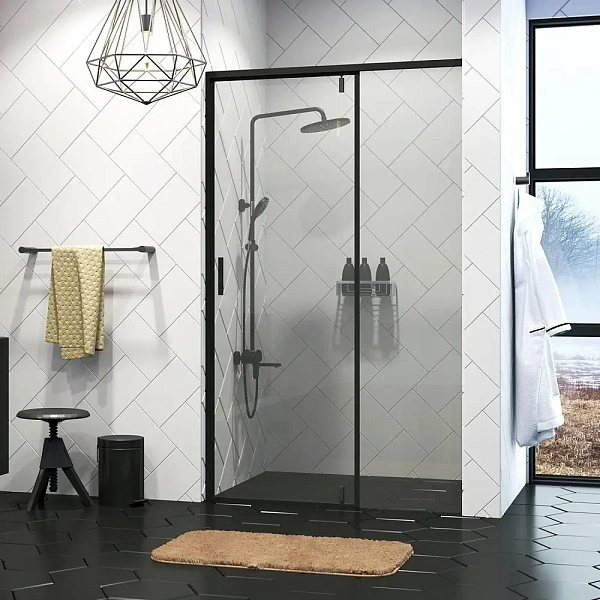 Душевая дверь WasserKRAFT Elbe 100х200 см 74P05