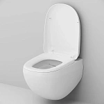 Унитаз подвесной AM.PM Sensation FlashClean C301700WH безободковый