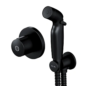 Встраиваемый смеситель с гигиеническим душем AM.PM X-Joy F40P85A22
