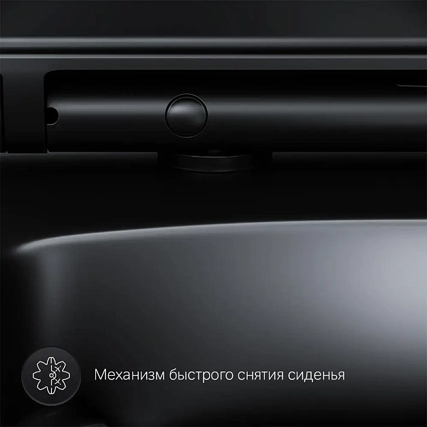 Унитаз подвесной AM.PM Inspire V2.0 FlashClean C50A1700MBSC безободковый