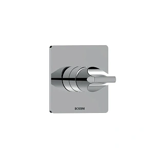 Встраиваемый смеситель для душа Bossini Apice Z00504.030