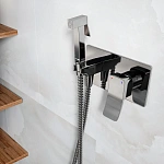Встраиваемый смеситель с гигиеническим душем WasserKRAFT Aller 10638