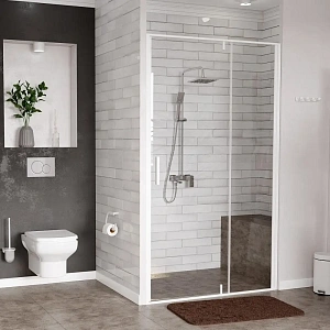 Душевая дверь WasserKRAFT Neime 120х200 см 19P05