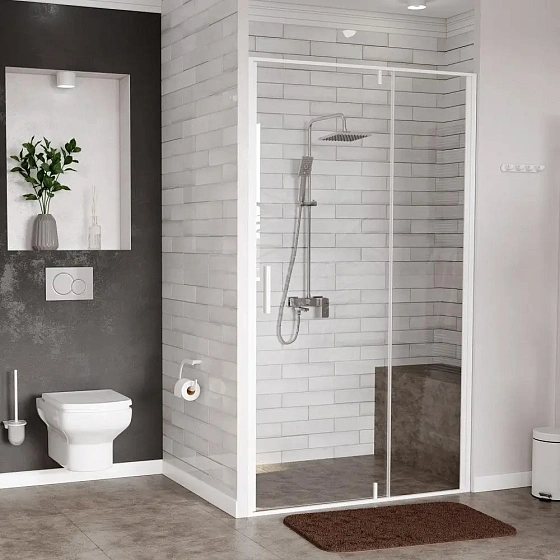 Душевая дверь WasserKRAFT Neime 120х200 см 19P05