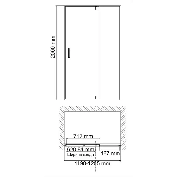 Душевая дверь WasserKRAFT Elbe 100х200 см 74P05