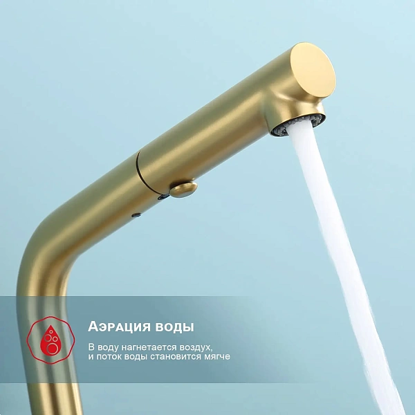 Смеситель для кухни с выдвижным изливом Raglo R86.49.03, матовое золото