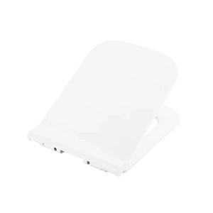 Сиденье для унитаза BelBagno Genova BB1102SC, с микролифтом
