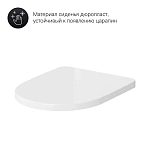 Унитаз-компакт AM.PM Spirit V2.0 C708600WH с микролифтом