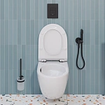 Инсталляция Grohe Solido с подвесным унитазом Santerika SAN.UNT.01, смыв "Торнадо", сиденье микролифт