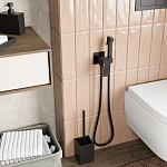 Встраиваемый смеситель с гигиеническим душем WasserKRAFT A71638