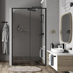 Душевая дверь WasserKRAFT Dill 110х200 см 61S13